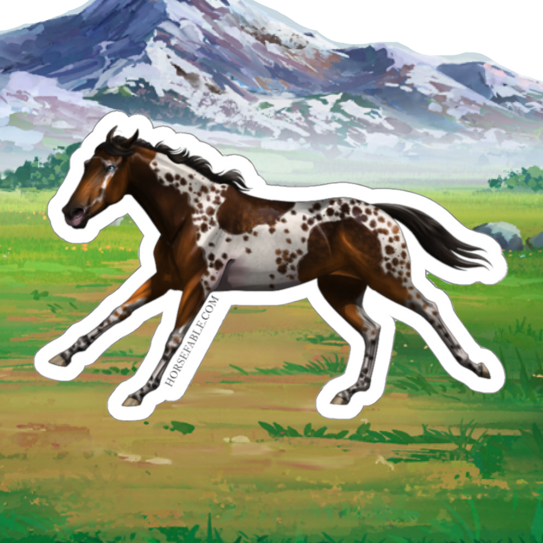 Thoroughbred - Seal Bay Tobiano | Sicker