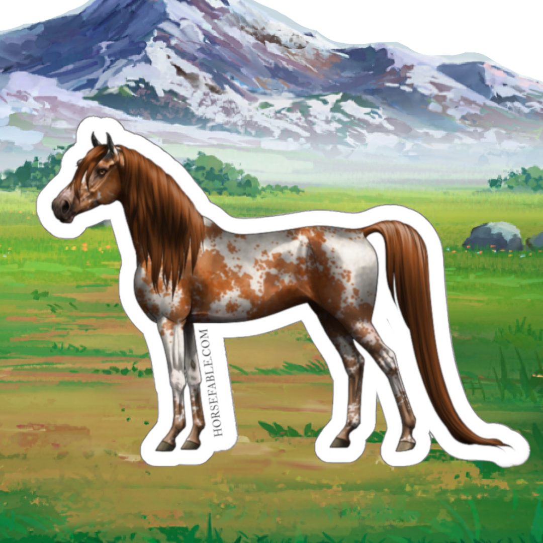 Arabian - Chestnut Manchado | Sicker
