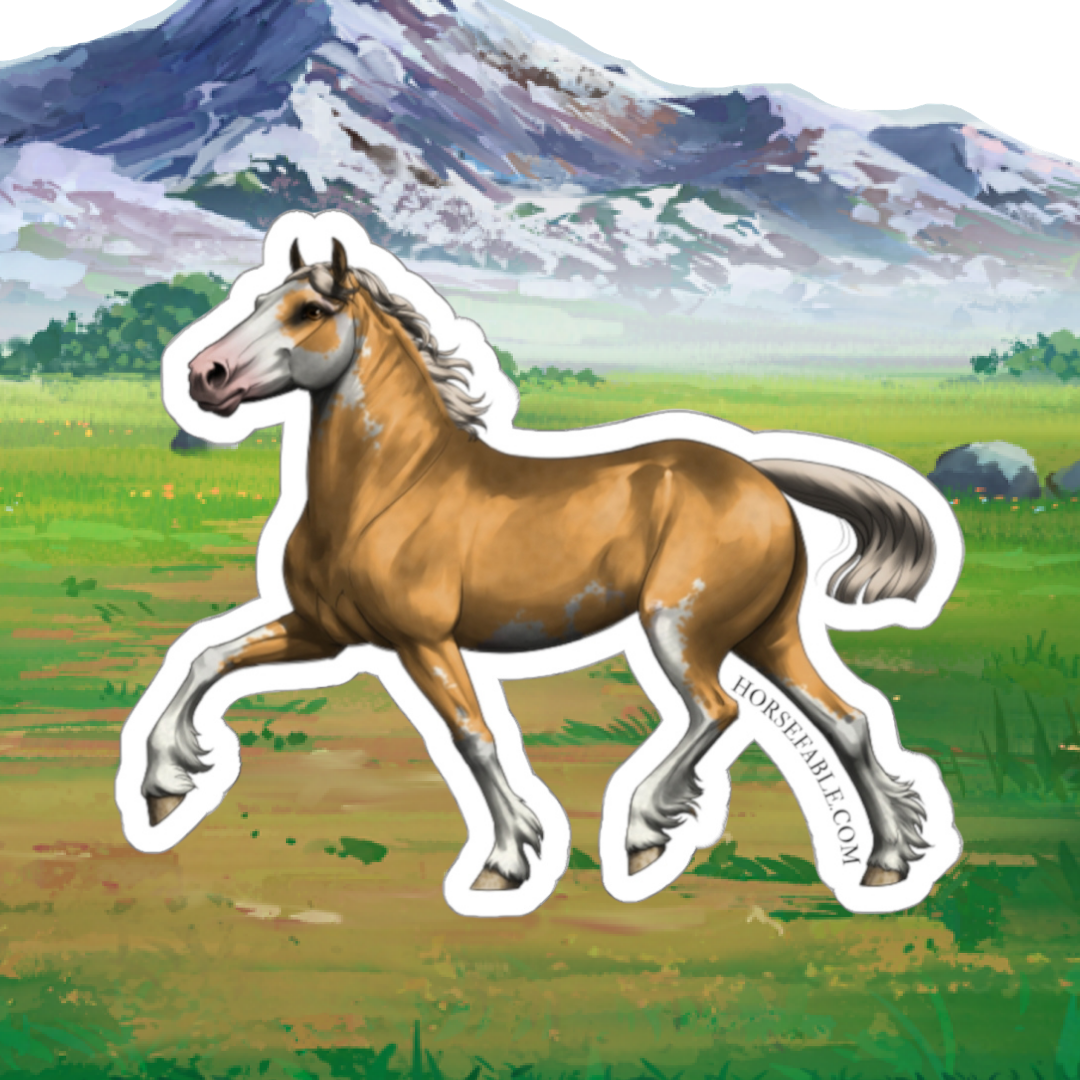 Welsh C - Palomino Sabino | Sicker