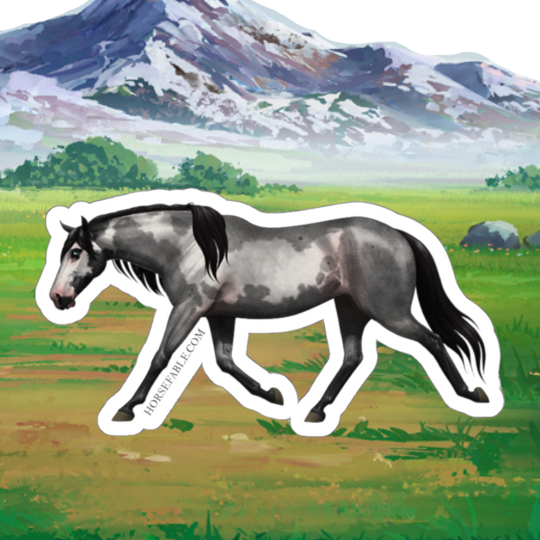 Pintaloosa - Blue Roan Overo | Sicker