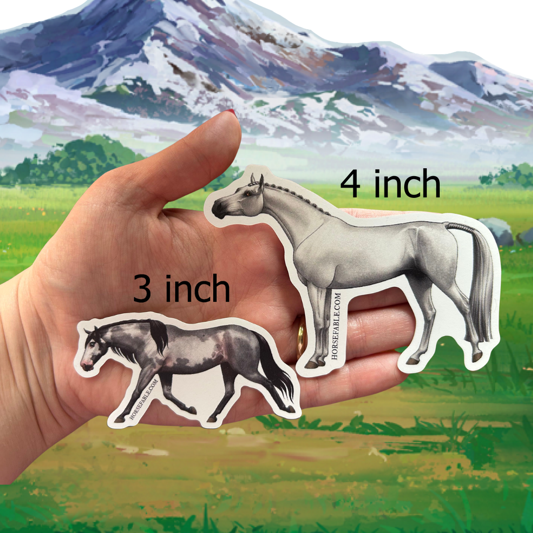 Pintaloosa - Blue Roan Overo | Sicker